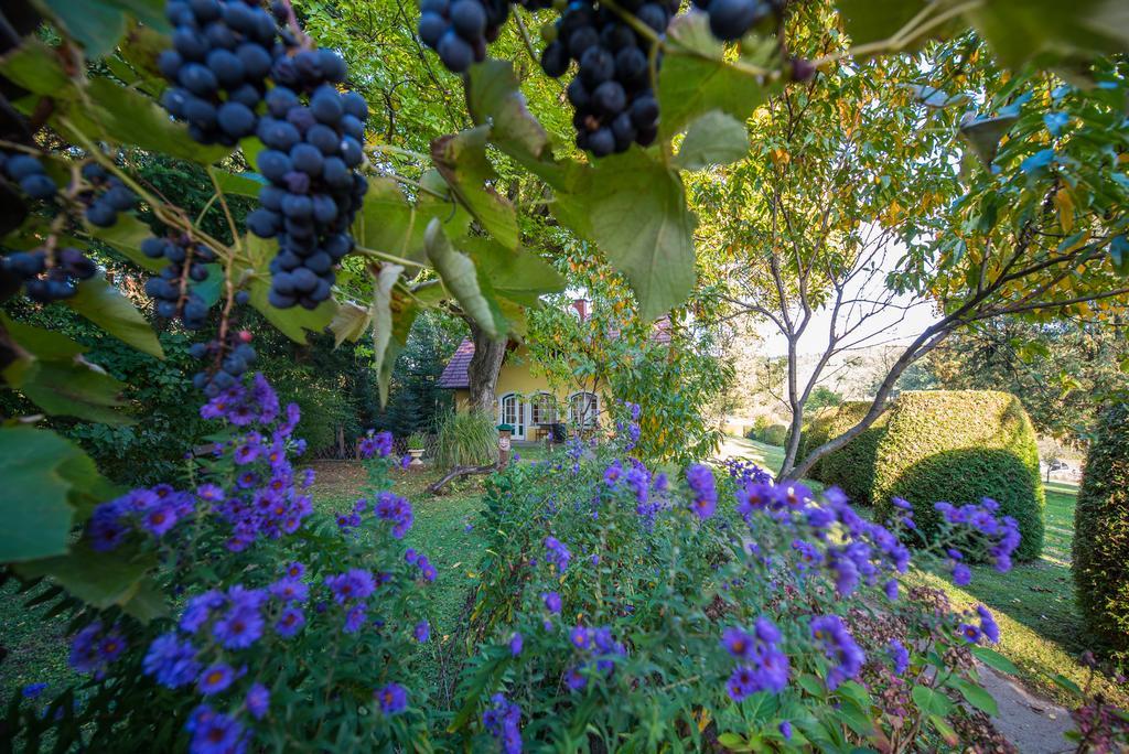 Winemakers Escape Villa Gleisdorf Dış mekan fotoğraf