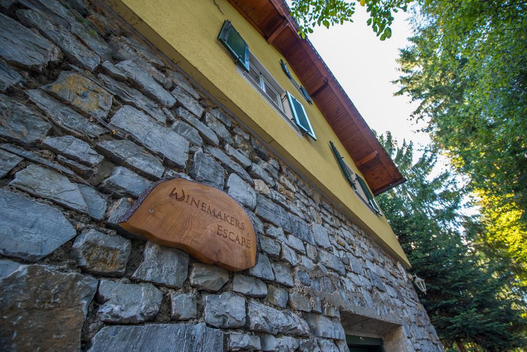 Winemakers Escape Villa Gleisdorf Dış mekan fotoğraf